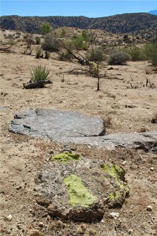 48658 Lyle Road, Morongo Valley, California 92256