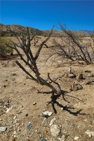 48658 Lyle Road, Morongo Valley, California 92256