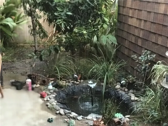 rear  water feature