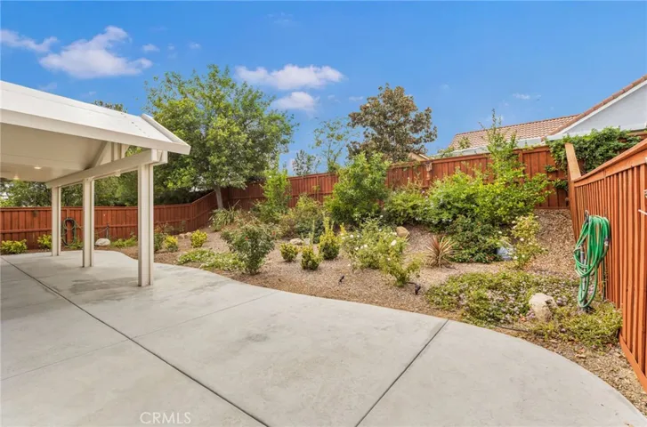 Fruit trees in backyard