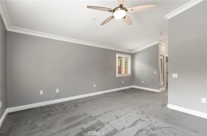 with designer ceiling fan light