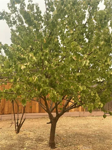 1099 Barney Street, Merced, California 95340