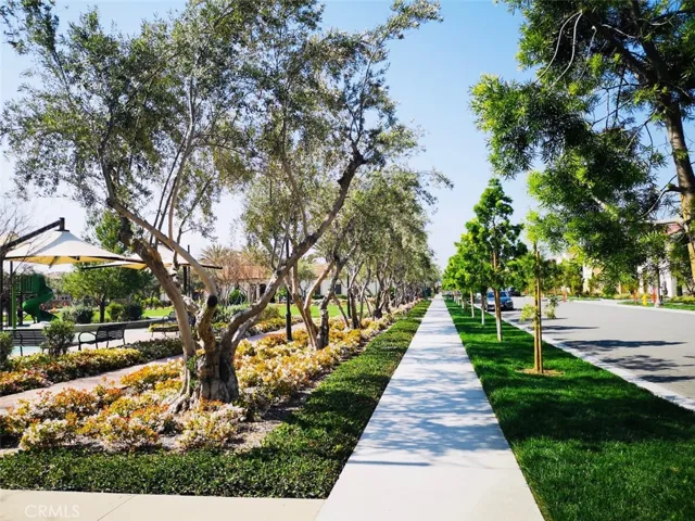 101 Annuals, Irvine, California 92618