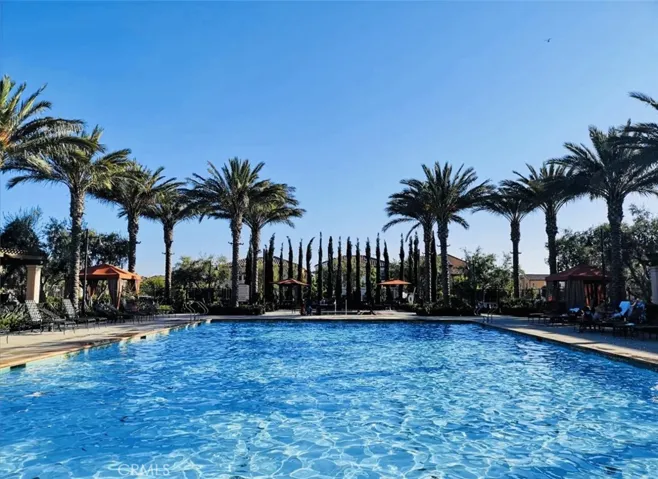 101 Annuals, Irvine, California 92618