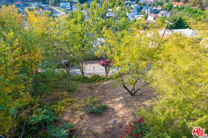 Yard fr. Dwnstrs
