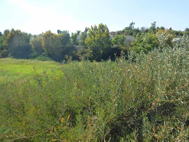 36907 Rancho Kiel Road, Winchester, California 92596