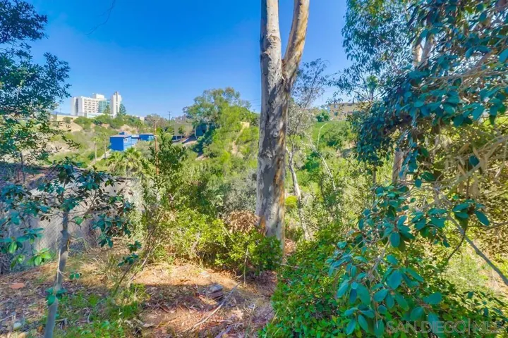 4055 Eagle Street 101, San Diego, California 92103