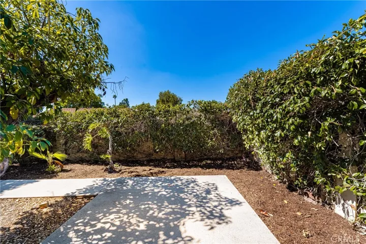 Side yard with numerous fruit trees including orange, lime , pomegranate and fig.