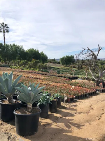 32063 Via Ararat Drive, Bonsall, California 92003