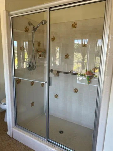 Master shower