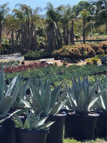 32063 Via Ararat Drive, Bonsall, California 92003
