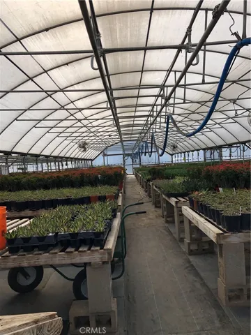 Automated greenhouses