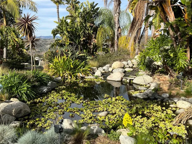 Relaxing koi pond