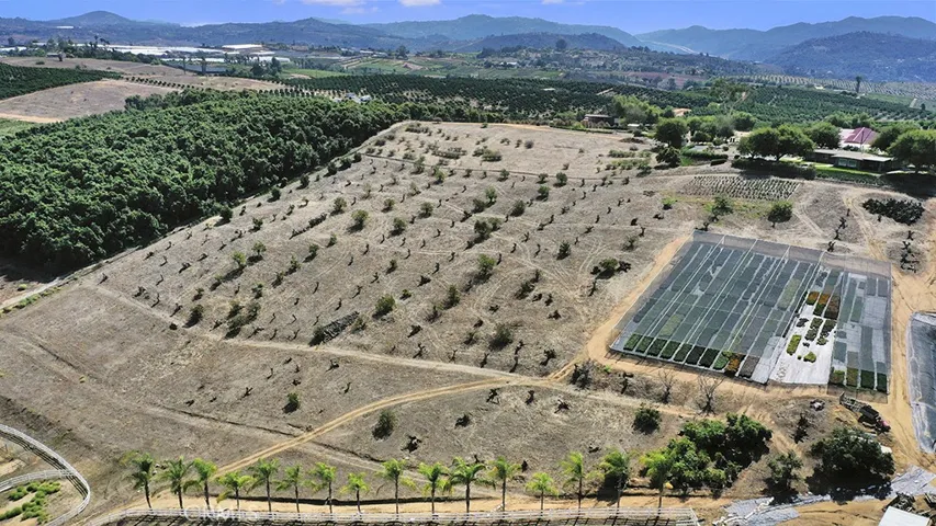 Plenty of room for expansion on this avocado grove.