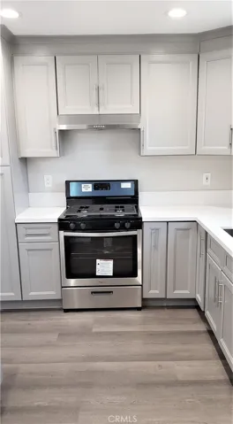 Stainless range & hood.