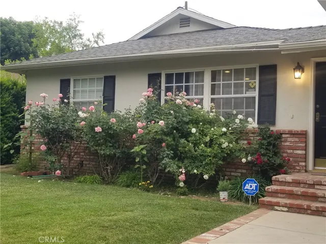 front view currently has rose bushes.