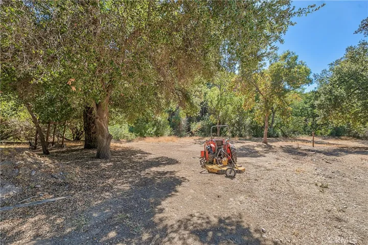 39088 San Francisquito Canyon Road, Green Valley, California 91390