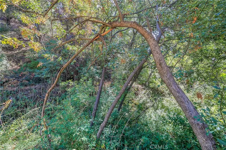 39088 San Francisquito Canyon Road, Green Valley, California 91390