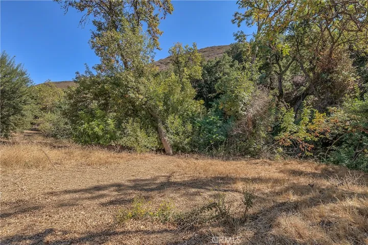 39088 San Francisquito Canyon Road, Green Valley, California 91390