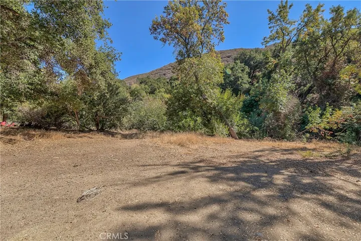 39088 San Francisquito Canyon Road, Green Valley, California 91390