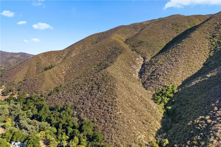 39088 San Francisquito Canyon Road, Green Valley, California 91390