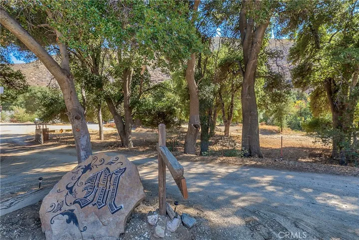 39088 San Francisquito Canyon Road, Green Valley, California 91390
