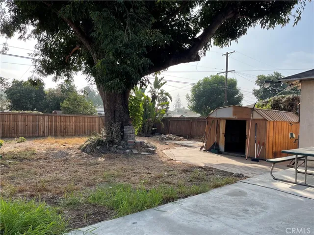 backyard has beautiful tree and shed too. plenty of room for ADU or pool or expanding.