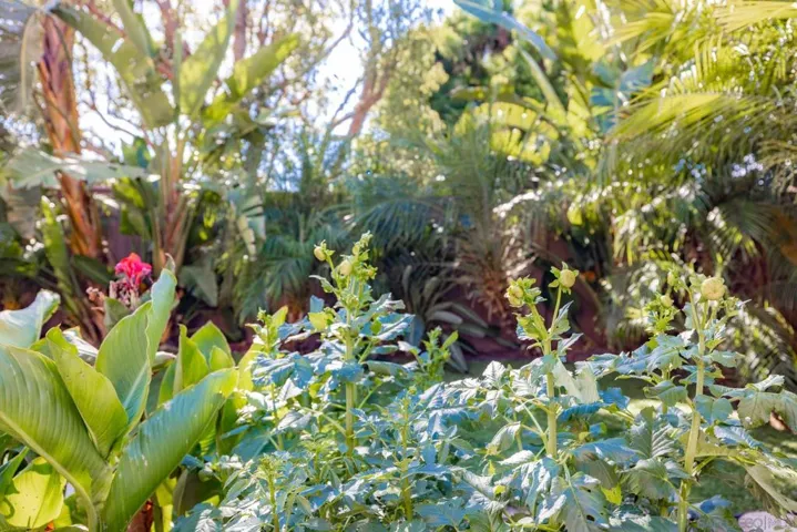 2985 Lexington Cir, Carlsbad, California 92010