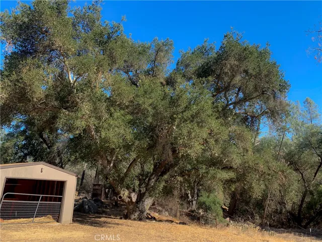 5411 Seven Oaks Way, Santa Margarita, California 93453
