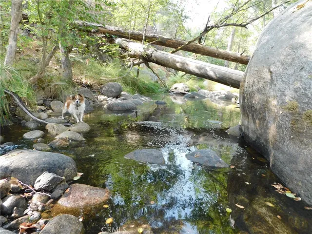 2137 Kemble Road, Mariposa, California 95338