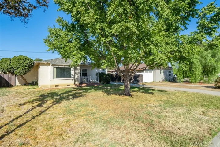 Front yard