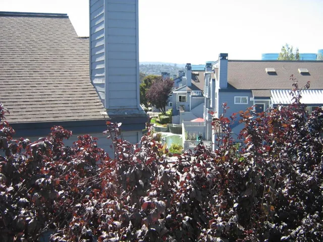 , Redwood City, California 94065