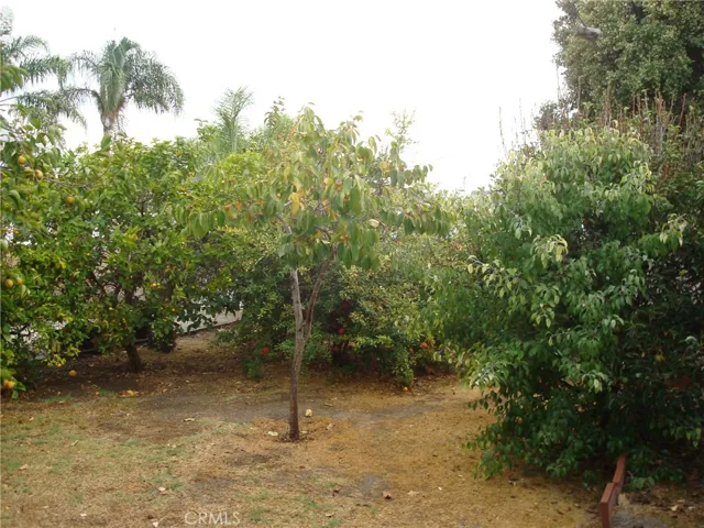 25050 Eshelman Avenue, Lomita, California 90717