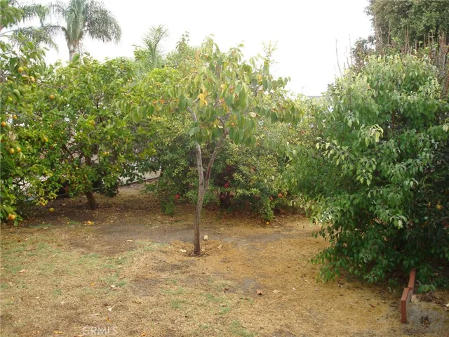 25050 Eshelman Avenue, Lomita, California 90717