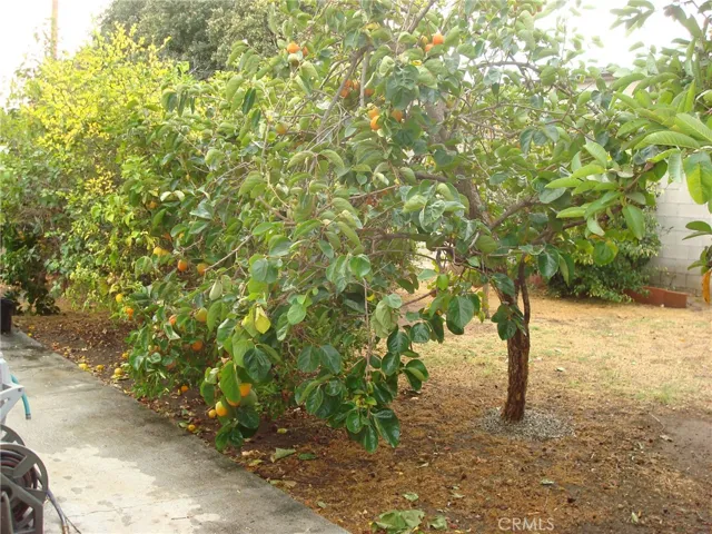 25050 Eshelman Avenue, Lomita, California 90717