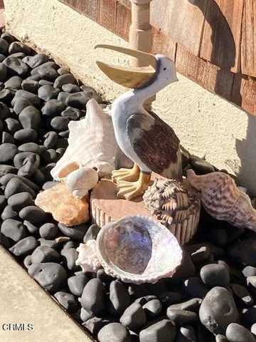 Bird and Shells