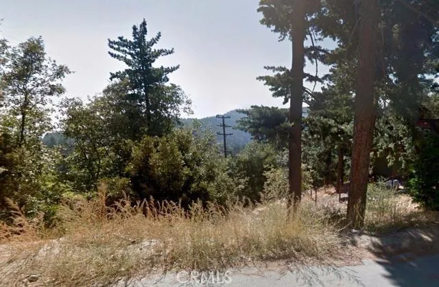 street view on Lo Lane, the nearest street. (northeast of the site)