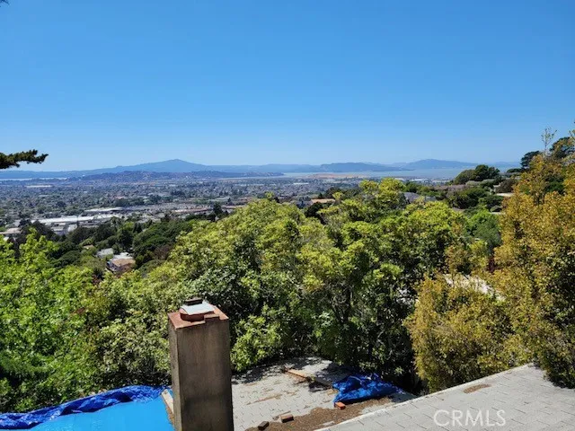 View from the roof