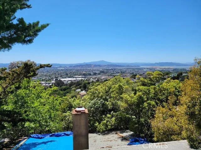 View from the roof
