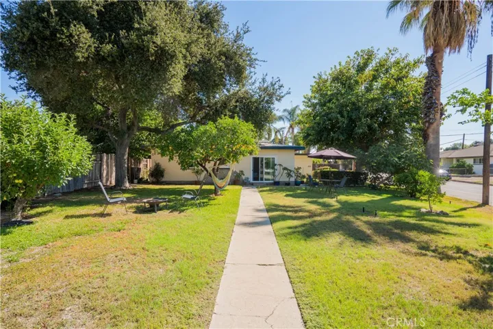 THIS YARD !!!