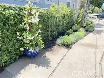 443 Parker, Orange, California 92868