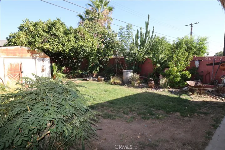 back yard