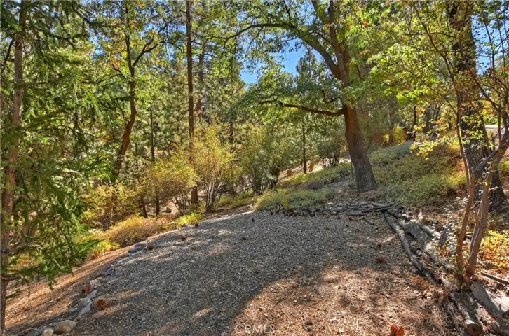 1186 Sheephorn Road, Big Bear, California 92314