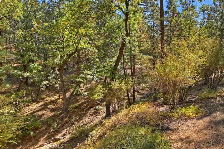 1186 Sheephorn Road, Big Bear, California 92314