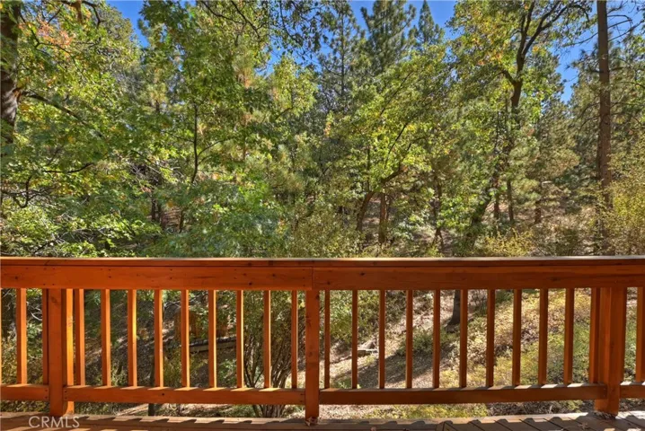 1186 Sheephorn Road, Big Bear, California 92314