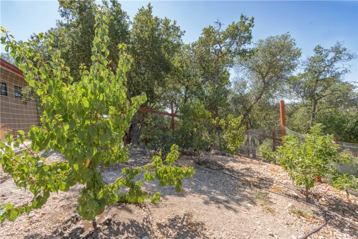 2645 Shale Ridge Road, Paso Robles, California 93446