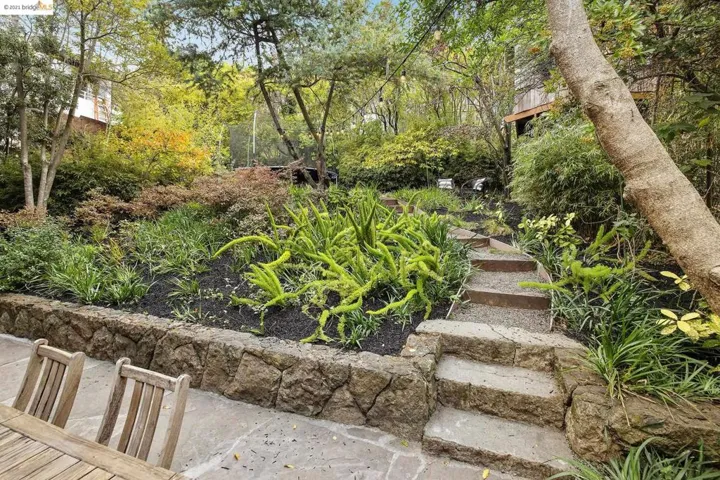 1403 Scenic Ave, Berkeley, California 94708