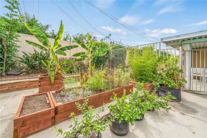 Lovely Garden