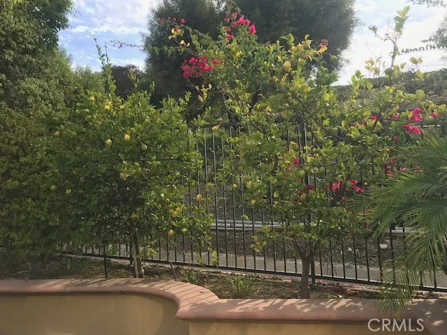 , Brea, California 92821