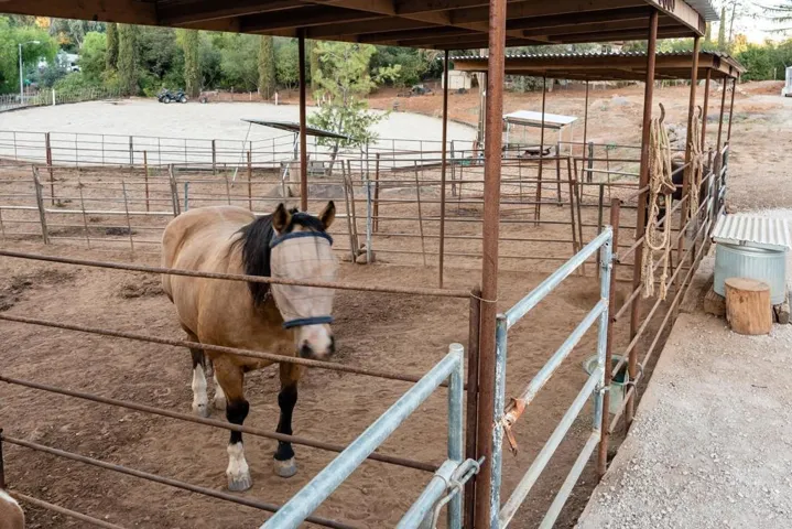 1356 S Grade Road, Alpine, California 91901